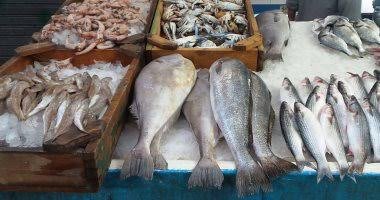 سوق السمك ميناء زايد